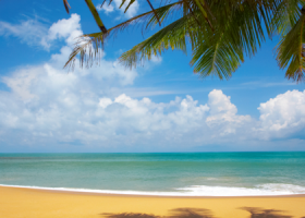 estero-property-for-sale